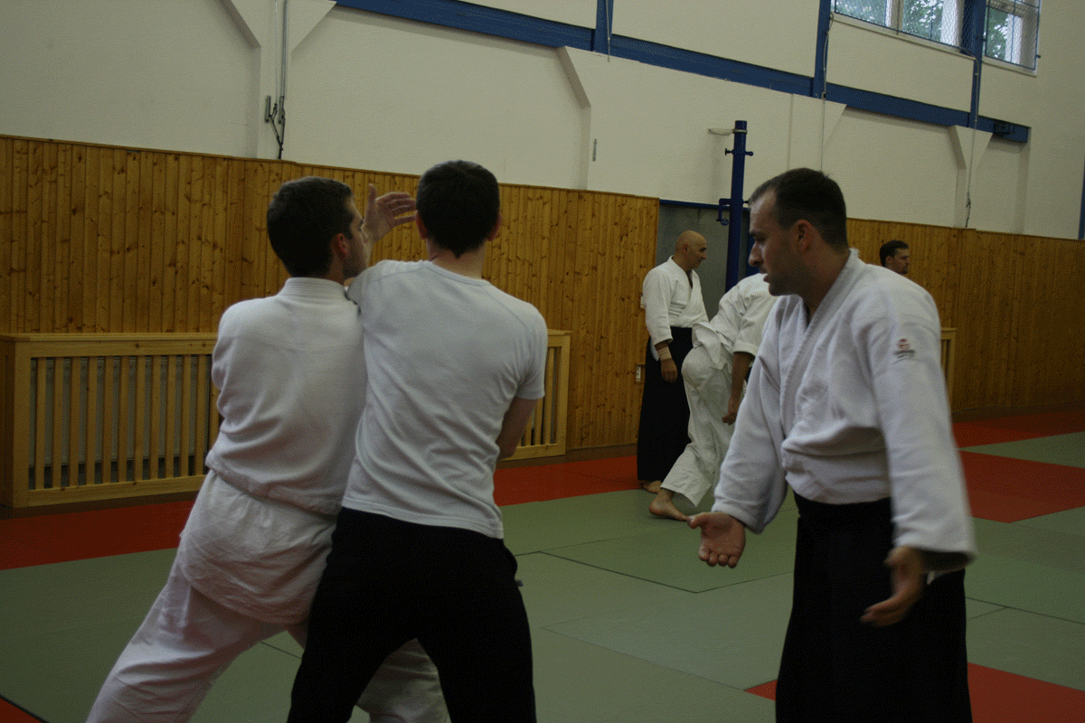 P2010003.gif