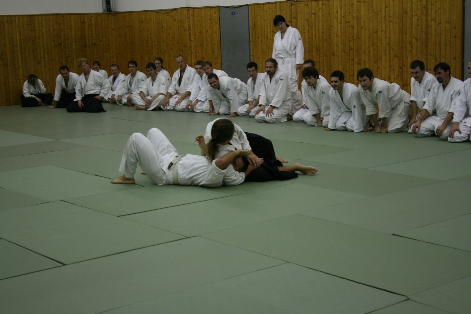 048_Staz L_Kulhavy_2011