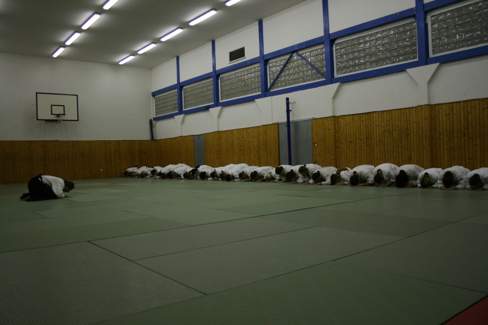 066_Staz L_Kulhavy_2011